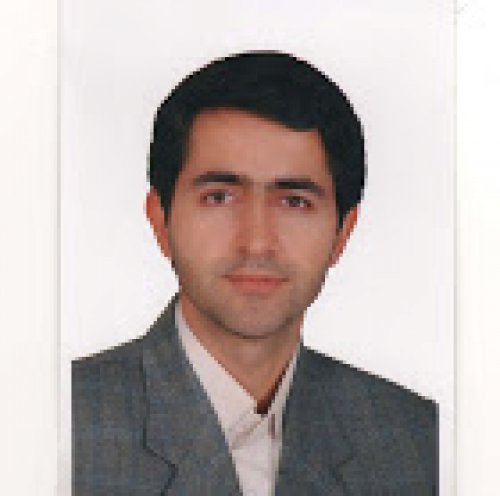 محسن محمدی کشکولی